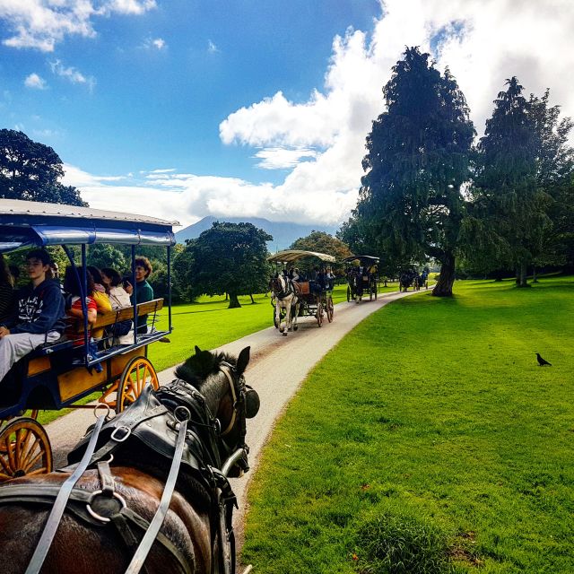 Killarney: 1-Hour Jaunting Car Horse and Carriage Tour - Price and Value: Is $43 Worth an Hour of Horse-Drawn Touring?