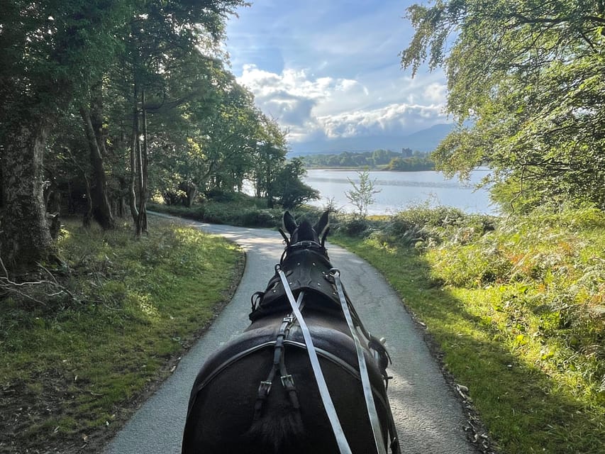 Killarney Carriage Tours National Park and Lakes - From St Mary’s Cathedral to the lakes, it’s all about views