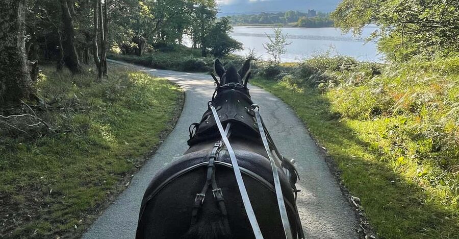 Killarney Carriage Tours National Park and Lakes - Ross Castle on the route: how to use the photo moments