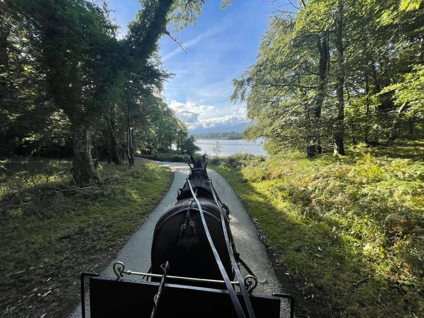 Killarney Carriage Tours National Park and Lakes - What the $40 price buys you (and when it’s a good deal)
