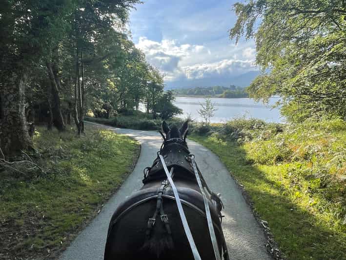 Killarney Carriage Tours National Park and Lakes - Who should book this carriage tour