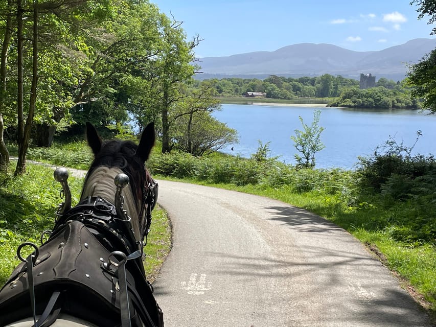 Killarney Carriage Tours National Park and Lakes - Meeting at 228 Beech Road and settling in