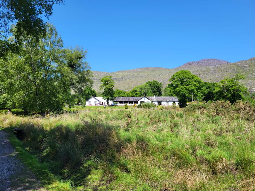 Killarney: Gap of Dunloe Day Tour - Who this tour suits best, and who should skip it