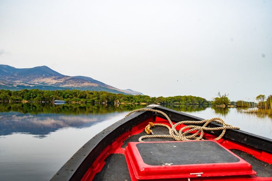 Killarney: Guided Boat Tour to Innisfallen Island - Key things I’d focus on