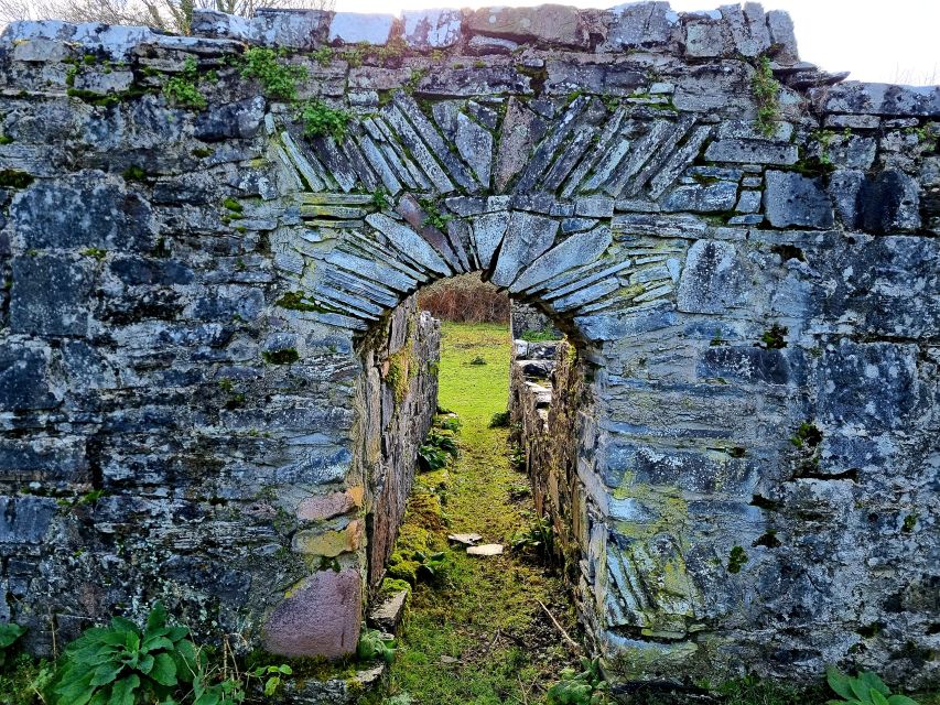 Killarney: Guided Boat Tour to Innisfallen Island - Price and value: why $24 feels fair for a one-hour story