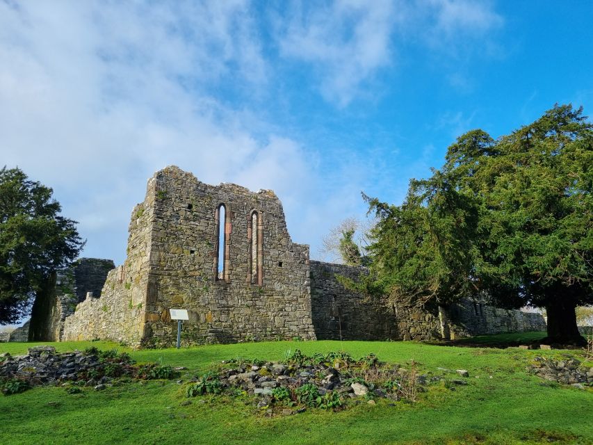 Killarney: Guided Boat Tour to Innisfallen Island - Who this tour suits best, and who should think twice