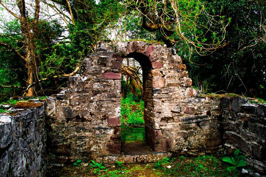 Killarney: Guided Boat Tour to Innisfallen Island - Should you book this Killarney Innisfallen Island boat tour?