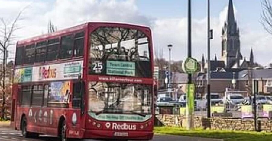Killarney: Hop-On Hop-Off Bus to Killarney National Park - Key highlights to look for