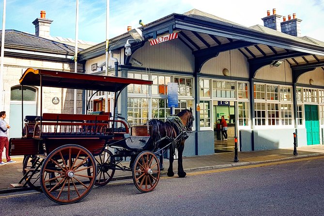 Killarney Jaunting Car & Lily of Killarney Watercoach Tour - Ross Castle as Your Start Line (and What You Pay For)
