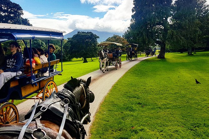 Killarney Jaunting Car & Lily of Killarney Watercoach Tour - Timing, Group Size, and How to Keep It Stress-Free