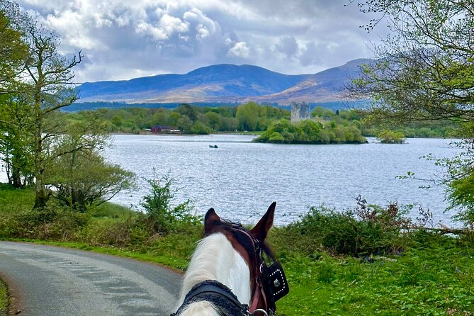 Killarney Jaunting Car Tour - Killarney House Gardens and town-time: where the park trip turns human