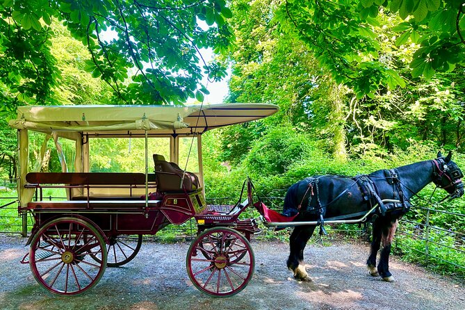 Killarney Jaunting Car Tour - Guides and horses: the difference between riding and having a moment