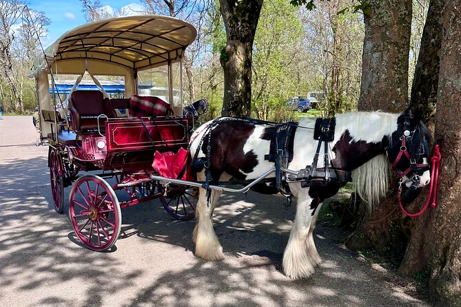 Killarney Jaunting Car Tour - Weather reality check: how the covered carriage can save your day