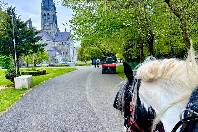 Killarney Jaunting Car Tour - Price and logistics: what you are really paying for