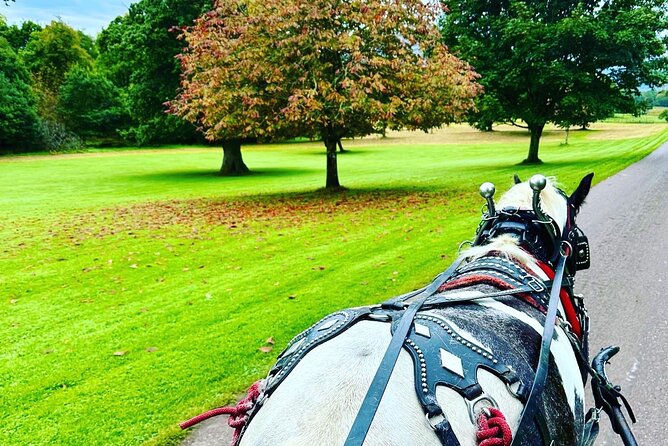 Killarney Jaunting Car Tour - What to bring, and how to make the most of your one-hour ride