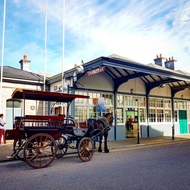 Killarney: Jaunting Car Tour with Afternoon Tea - Who This Tour Fits Best