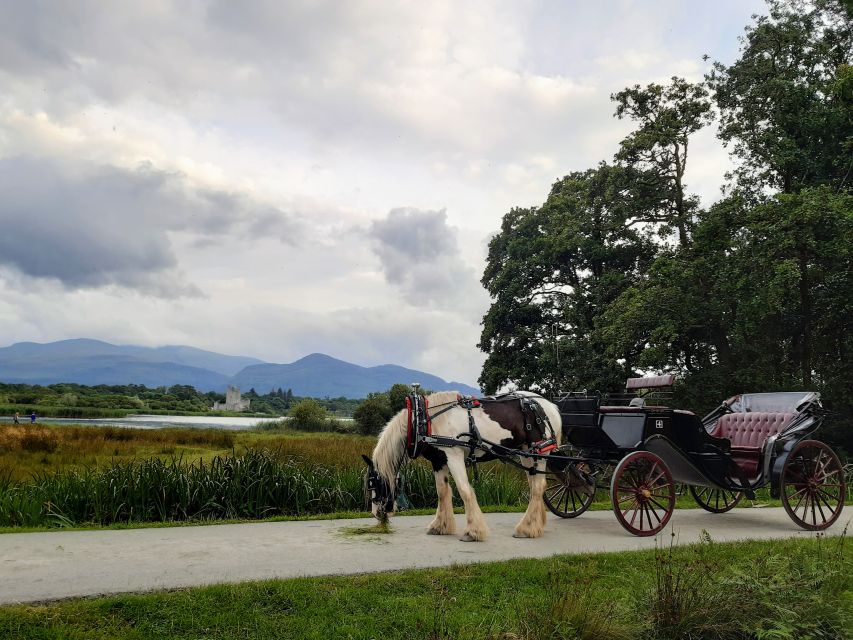 Killarney: Killarney National Park Private Tour - Key things to know before you go