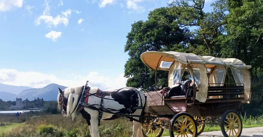 Killarney: Killarney National Park Private Tour - Why a private jaunting car ride feels special in Killarney