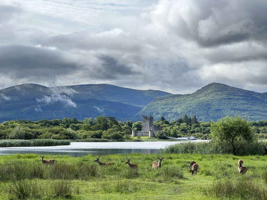 Killarney: Killarney National Park Private Tour - The first 50 minutes in Killarney National Park: lakes, deer, and quiet views