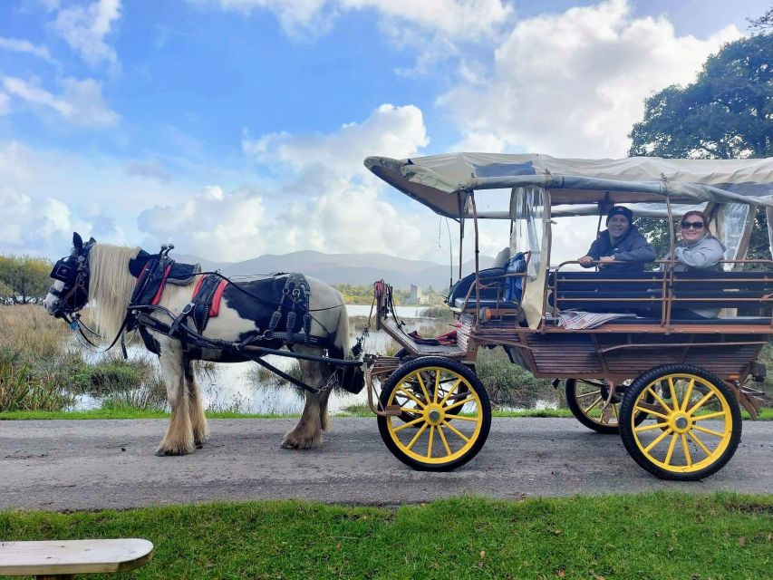 Killarney: Killarney National Park Private Tour - Innishfallon monastery stop: history you can actually picture