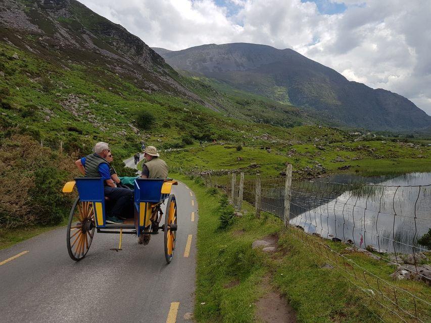 Killarney: Lakes of Killarney Boat Tour with Transfer - The 2 pm Lakes of Killarney boat cruise to Ross Castle