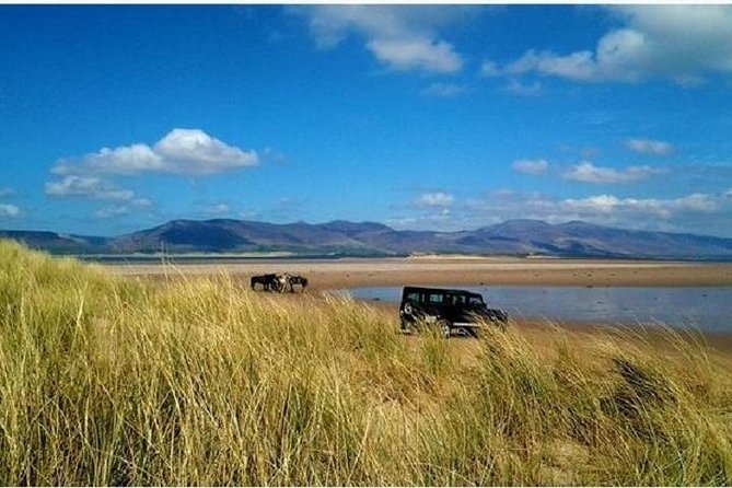 Killarney National Park Horseback Ride. Co Kerry. Guided. 1 hour. - Guides and safety: how the staff set the tone