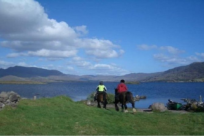 Killarney National Park Horseback Ride. Co Kerry. Guided. 1 hour. - Pace, expectations, and that small-group advantage