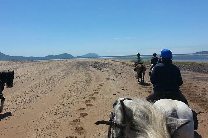 Killarney National Park Horseback Ride. Co Kerry. Guided. 2 hours. - Timing and Weather: Your Day on Horseback Depends on Both
