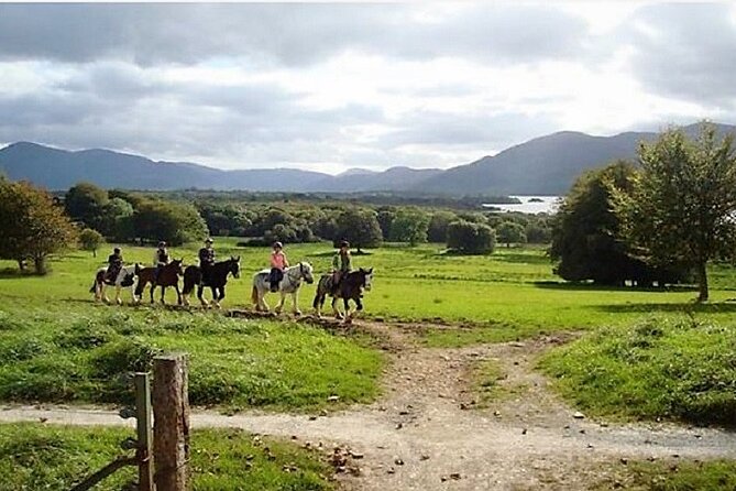Killarney National Park Horseback Ride. Co Kerry. Guided. 3 hours. - Killarney National Park on horseback: what you’ll see and how it feels