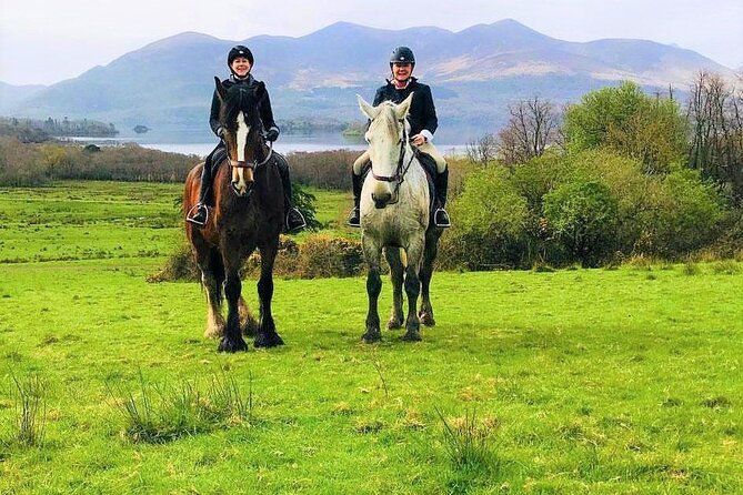 Killarney National Park Horseback Ride. Co Kerry. Guided. 3 hours. - Guides and safety: why the stable team is the main reason people love this ride