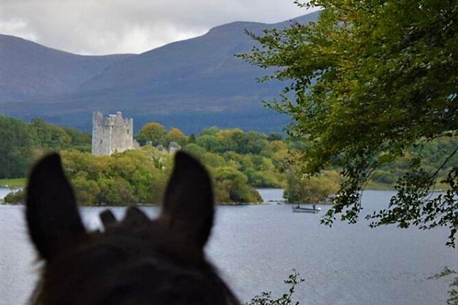 Killarney National Park Horseback Ride. Co Kerry. Guided. 3 hours. - Price and value: is $282.97 fair for a 3-hour ride?