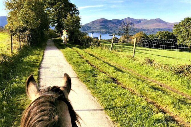 Killarney National Park Horseback Ride. Co Kerry. Guided. 3 hours. - Duration reality check: 3 hours sounds fixed, but life and weather change things