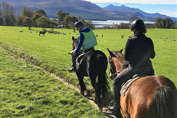 Killarney National Park Horseback Ride. Co Kerry. Guided. 3 hours. - What to bring and what to expect from the included gear