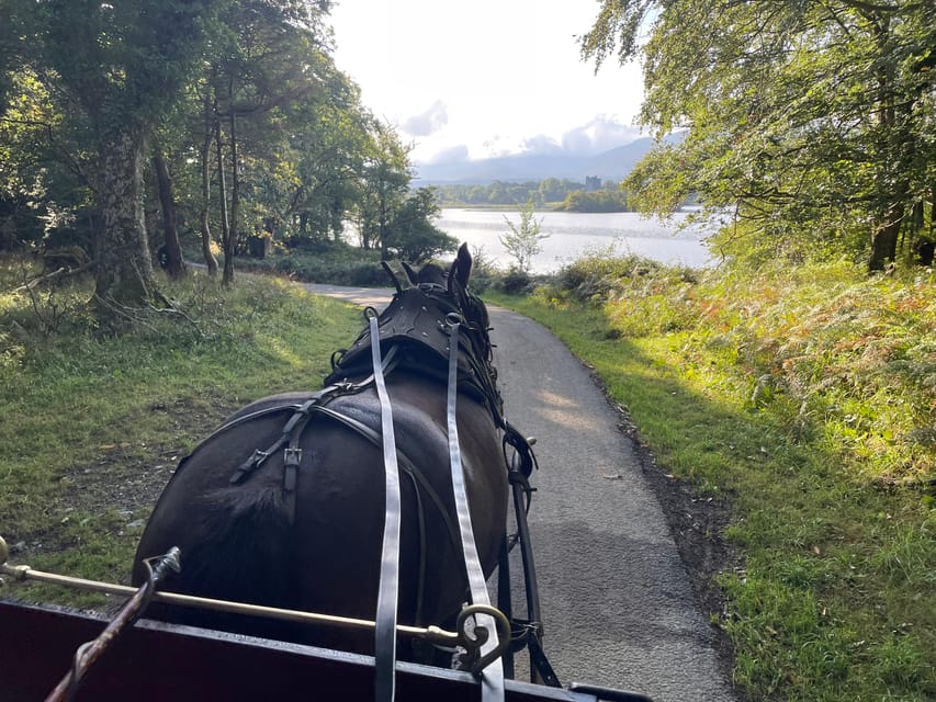 Killarney National Park Jaunting Car Tour - Key highlights worth circling first