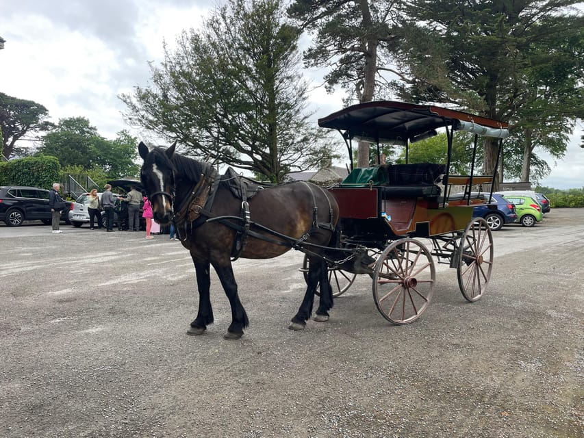 Killarney National Park Jaunting Car Tour - From Beech Road pickup to St Mary’s Cathedral, the route makes sense