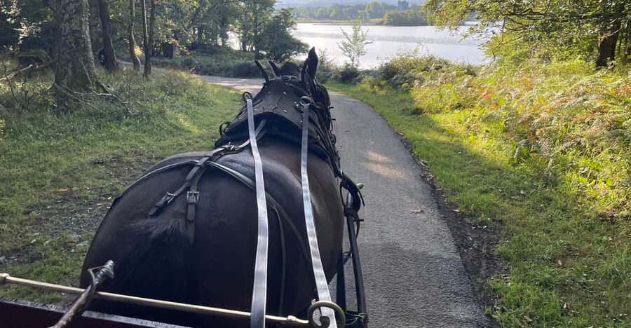 Killarney National Park Jaunting Car Tour - Lough Leane, Inisfallen ruins, and the monks’ lake of learning