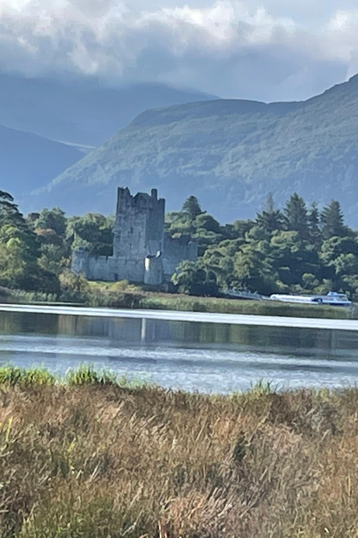 Killarney National Park Jaunting Car Tour - Price and value: why $40 makes sense here