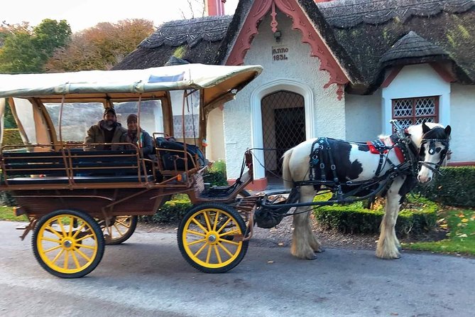 Killarney National Park Tour - The carriage ride itself, why it feels calmer than other tours