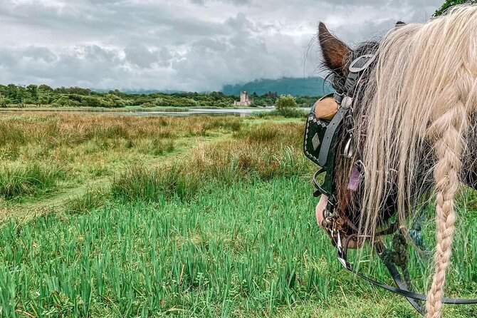 Killarney National Park Tour - McGillicuddy Reeks and Carrantouhill views, what you gain from the route