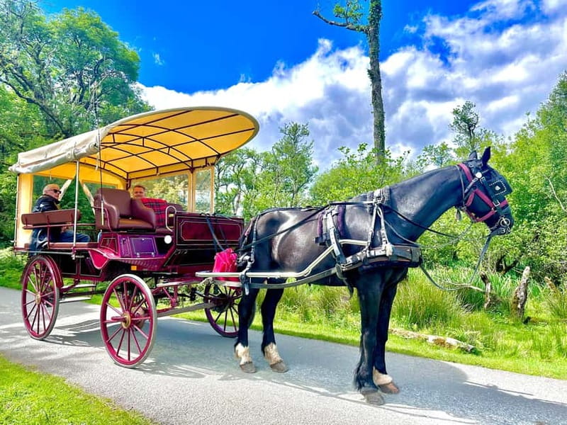 Killarney National Park Tour - Rain plan: covered carriage and blankets, so your day still works