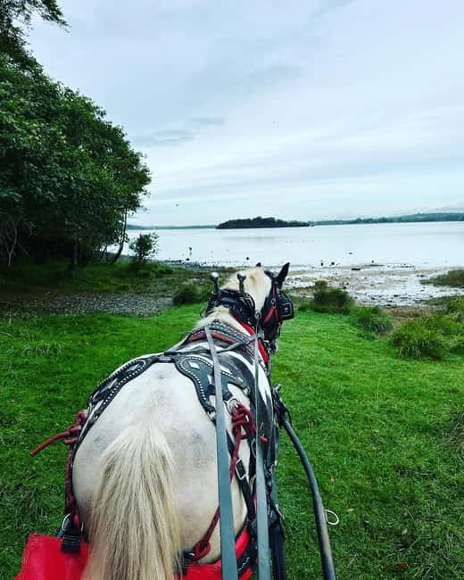 Killarney National Park Tour - Tea cottage timing, a practical place to warm up and regroup