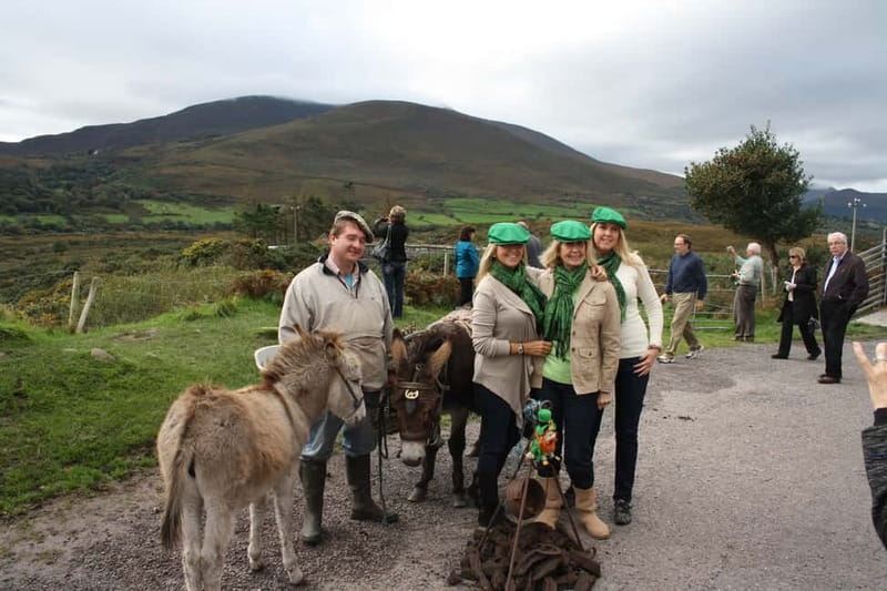 Killarney: Ring of Kerry Bus Tour - Key highlights at a glance