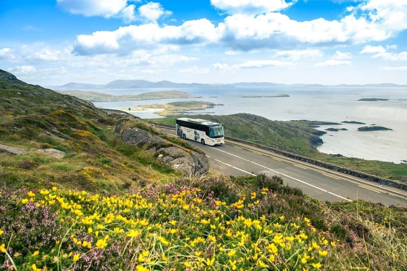 Killarney: Ring of Kerry Bus Tour - Who this tour suits best