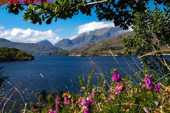Killarney Super Saver: Dingle and Slea Head Day Trip plus Ring of Kerry and Killarney Lakes Day Trip - Price and value: what $126.15 gets you for two days
