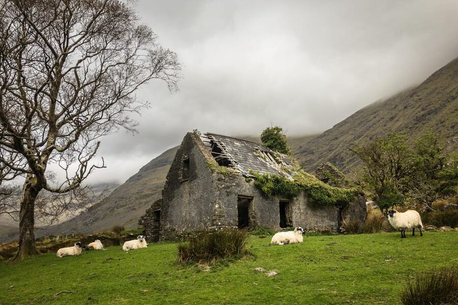 Killarney: The Ring of the Reeks - Backroads Rural Tour - Ring of the Reeks with a photographer in charge: key highlights
