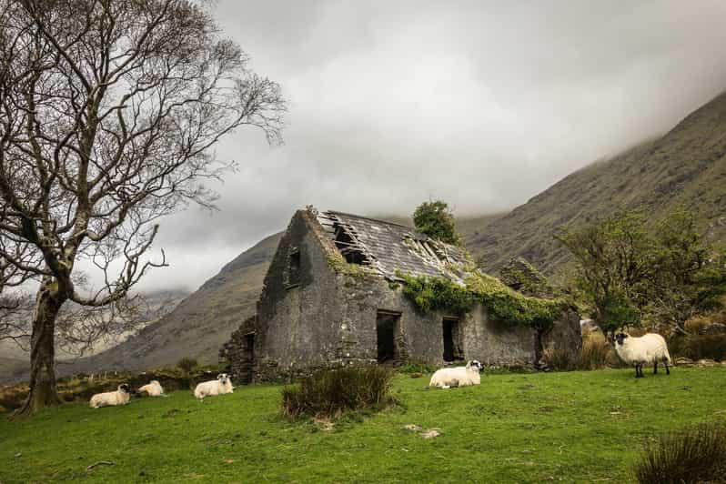 Killarney: The Ring of the Reeks - Backroads Rural Tour - How this Ring of the Reeks day earns its camera focus