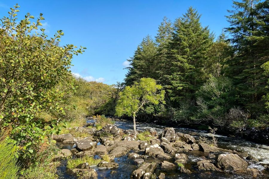 Killarney: The Ring of the Reeks - Backroads Rural Tour - Lunch in Kenmare: a break that keeps the momentum
