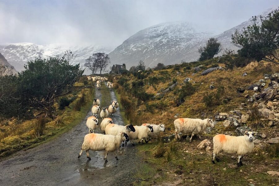Killarney: The Ring of the Reeks - Backroads Rural Tour - The Gap of Dunloe: why this late-day route feels like a finale
