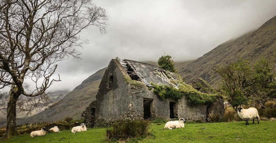 Killarney: The Ring of the Reeks - Backroads Rural Tour - Roads, pacing, and what the 9 hours really feels like