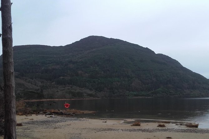 Killarney Valley & National Park - Private Tour - Stop 2: Ross Castle, a spiral stair climb and a payoff view